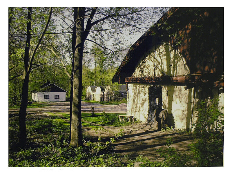 Heikki Säynenvirta - Teijon paja