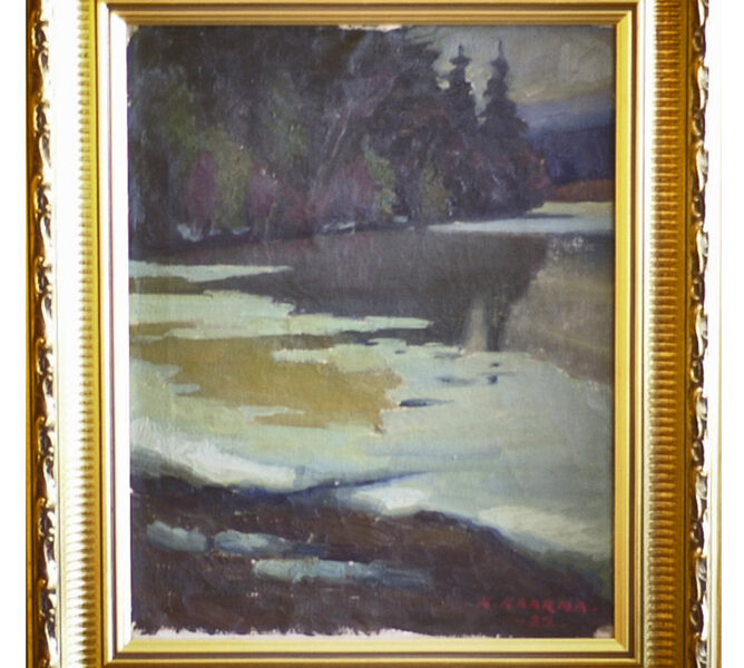 Kalle Kaarna - Järvimaisema