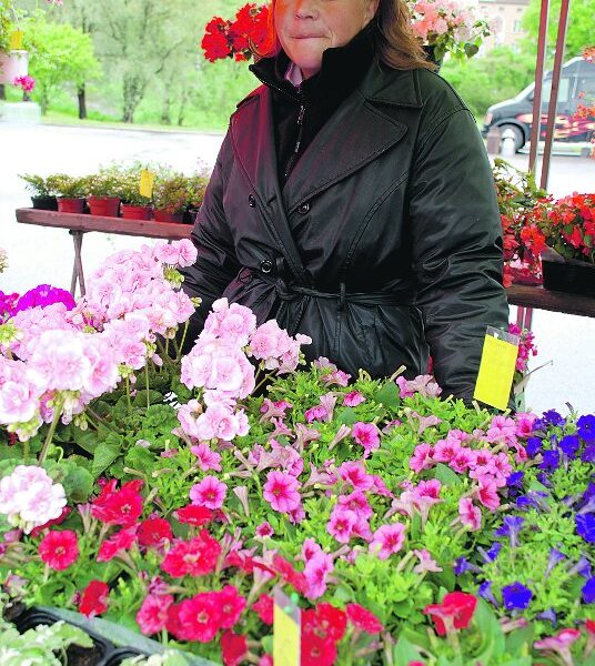 Perniön Toriyhdistyksen puheenjohtaja Sari Kari on vienyt yhdistyksen torihanketta eteenpäin kaupungille yhdessä aluetoimikunnan kanssa. Omalta myyntipöydältä löytyy mm. kukkia