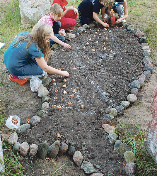 Ruut Rokka, Aada Sipilä, ja Siiri Siltanen suunnittelivat särjenmuotoisen istutuspaikan kukkasipuleille. Istutuspuuhissa tässä myös penkin rakenteet Remu Rokka ja Verner Laakso.