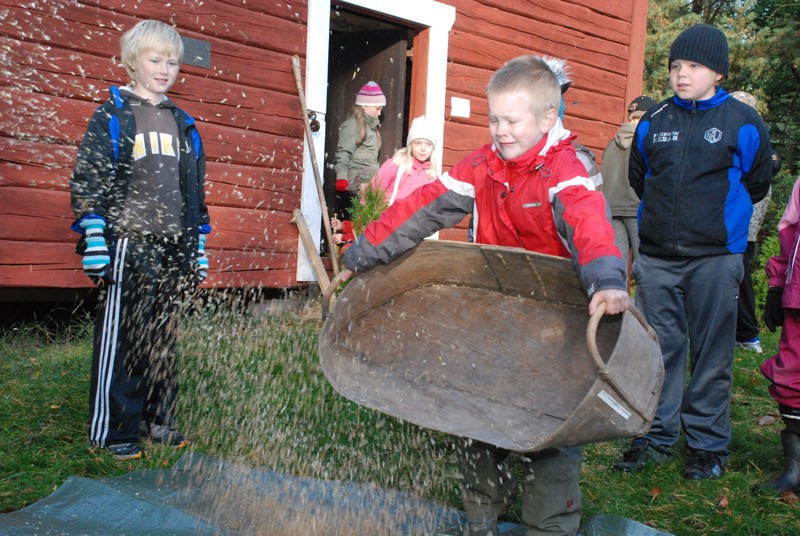 Sauli Siltanen kokeili pohdinta viime viikolla Meripirtin museon edessä.