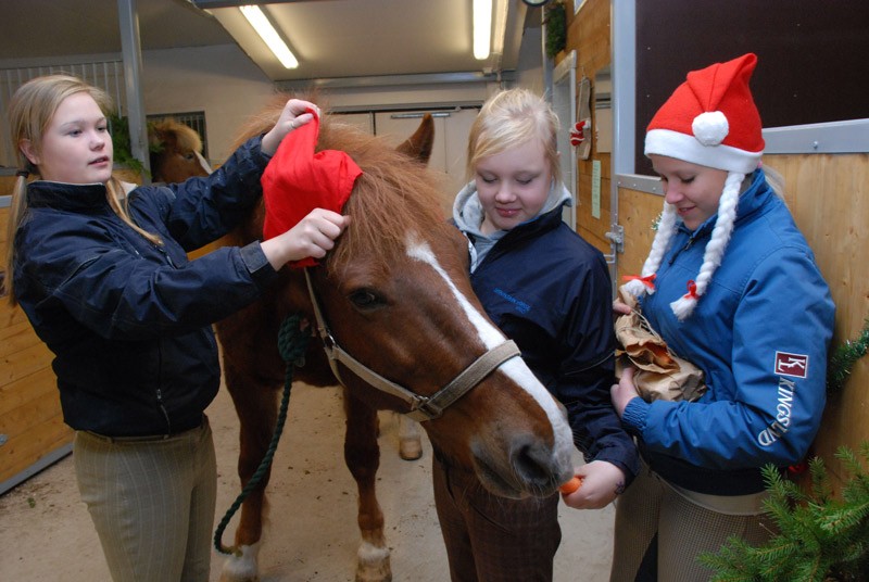 Sara Örri kokeilee, sopisiko tonttulakki myös Jippo-hevosen päähän. Veera Örri antaa Jipon syödä tämän paketista jo