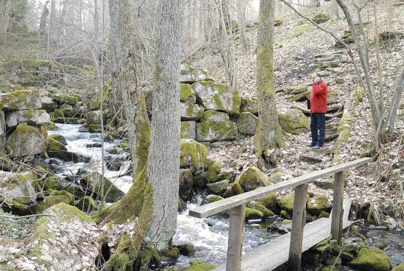 Sahajärvi on osa hoitosuunnitelmaan kuuluvia alueita. Arkistokuva viime keväältä, aluetta tutkii Teijon alueen kyläyhdistyksen Tauno Kavén.