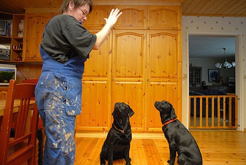 Jaana Järvelä arvelee, että Monten ja Artun lähtö