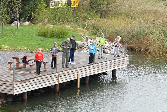 Niksaaren rannassa ongittiin tiistaiaamuna rivissä.