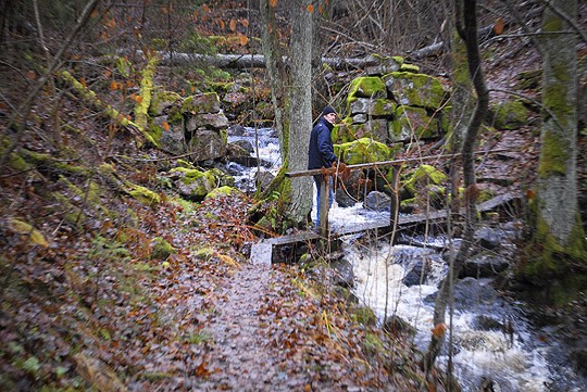 Mikael Nordström Sahajärven luonnonpuiston polulla. Rinteessä nousevat vanhat kiviportaat.
