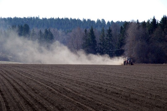 Melkkilän pelto pölysi tiistaina, kun juurikasta kylvettiin monen traktorin voimin.