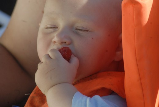 Maksaako Salo-lisä mansikoita ihmetellään lisän puolittamispuheita.