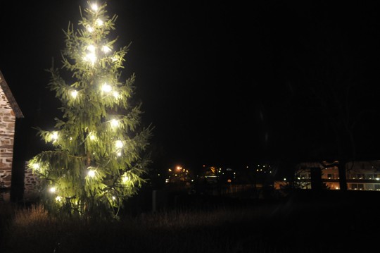 Perniön ainoa valaistu kuusi on toistaiseksi kirkkomaalla. Toista puuhataan torille.