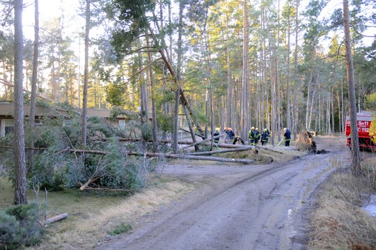 Palokunta pelasti rivitalon Farfarintiellä kaatamalla taloa uhanneet puut pihalle.