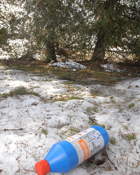 Lammen rantaan on jäänyt tyhjä Kodin putkimies- pullo poikineen.