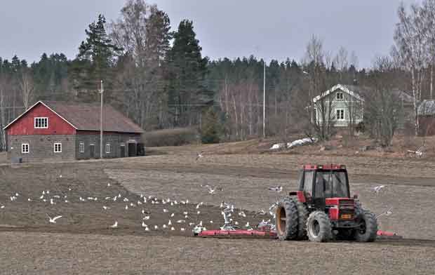 Toukotyöt ovat alkaneet Perniön pelloilla.