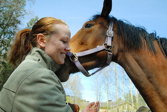 Maarit Alhokoskea tultiin aitauksessa heti tervehtimään herkkupalojen toivossa.