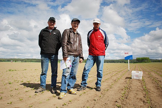 Cay Blomberg, Jouko Willberg ja Markku Virtanen tulivat Kemiönsaarelta Perniöön juurikkaanvilljelyn uusia tuulia haistelemaan.