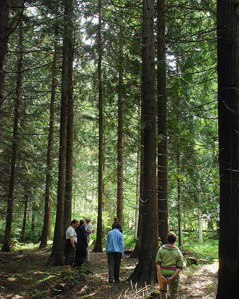 Salon seudun metsänomistajia kierrätettiin tiistaina metsäretkellä muun muassa Särkisalon Petussa.