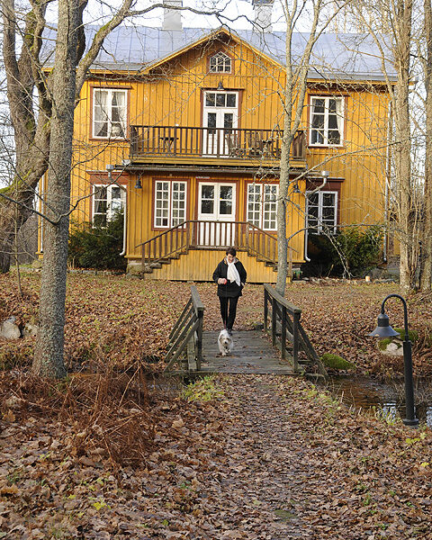 Laila Limnell on Kirjakkalan säännöllisiä kävijöitä: hänen koiralenkkinsä kulkee insinööritalon editse.