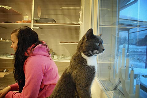 Ida Tallqvist päästi häkistä harmaan hurmurin katselemaan maisemia.