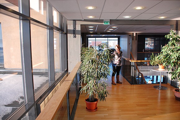 Villa Landen toiseen kerrokseen sisustetaan valoisat lukutilat, kertoo kirjastotimen johtaja Karolina Zilliacus.