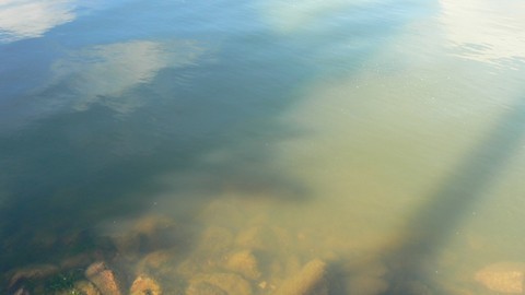 Strömman kanavasillan alta lipuneet levälautat saivat auringossa uusia sävyjä. Kuva: Topi Poutanen.