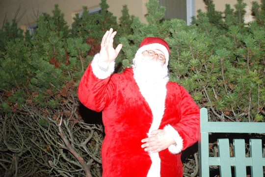 Tuttu partaveikko ilmestyy myös Perniöön.