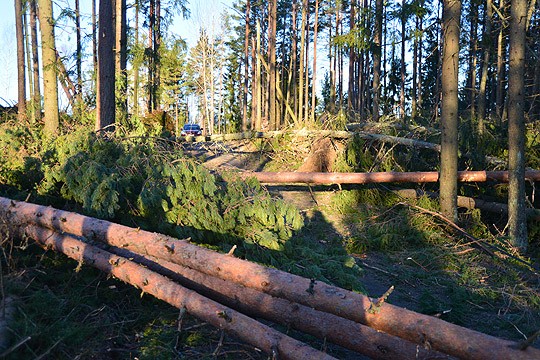 Suutarkyläntie Särkisalossa oli perjantaiaamuna tämännäköinen. Sähköjä tien varren taloihin odoteltiin.