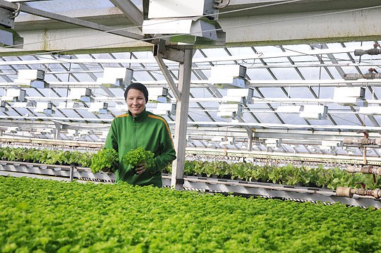 Kulmalan puutarha aikoo satsata jatkossa myös yrtteihin; Jetta Kulmalan käsissä on ruukulliset persiljaa.