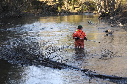 Tero Saari haavi siianpoikasia Kiskonjoessa viime viikolla.