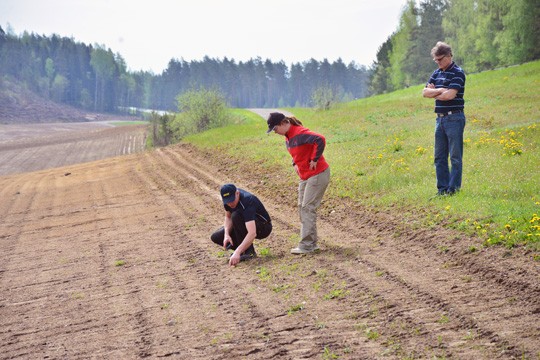 Juha WIkström, Juha Melkkilä ja Sucroksen Marika Muntola tutkivat sateensyömää juurikaspeltoa Perniössä keskiviikkona.