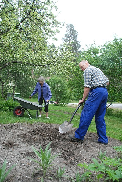 Juha Meriluoto uurasti eilen Taimi Havian pihassa Perniössä.