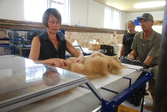 Sini ja Petri Honkala ja Jeff Birtwistle syöttävät alpakankarvaa uuteen kehräyskoneeseen.