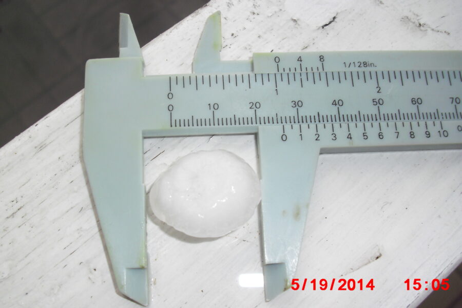 Rakeiden voidaan sanoa olevan peukalonpään kokoisia. Kuvan lähetti Kari Venhomaa.