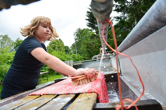 Särkisalossa pestiin mattoja talkoilla tiistaina. Yhtenä kuuraajana oli Camilla Lilja.