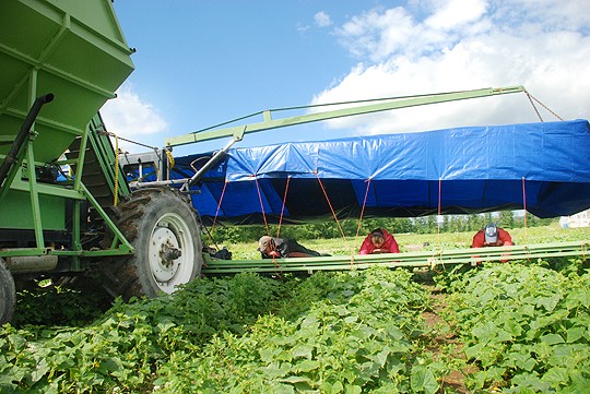 Viktor ja Tatyana Tyterenko sekä Maksim Sienko tulivat Ukrainasta Strömmaan. Poimintakoneen makuualustoilla pystyy työskentelemään muutaman tunnin kerrallaan.