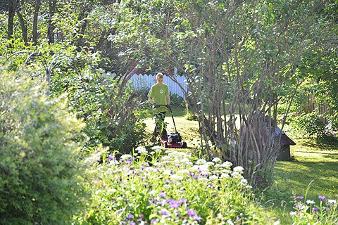 Omakotitalkkarien kesä on pitkälti ruohonleikkuuta: pihat ovat isoja ja nurmi kasvaa koko ajan. Tuomas Suominen parturoi ruohikkoa Perniön kirkonkylässä viime viikolla.