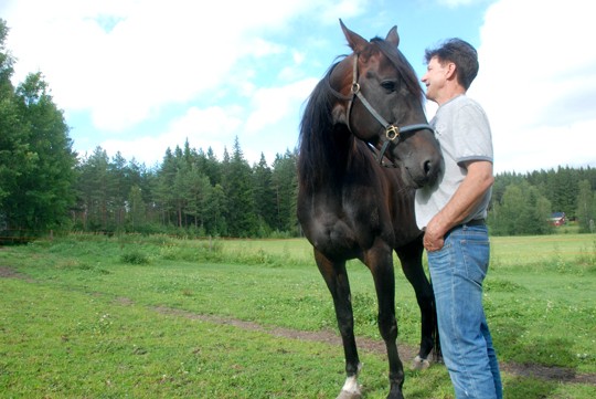 Rainbow Zetin piirteitä nähdään myös tulevissa polvissa, sillä hevosella on jo teetetty varsoja, kertoo Veikko Kopola.