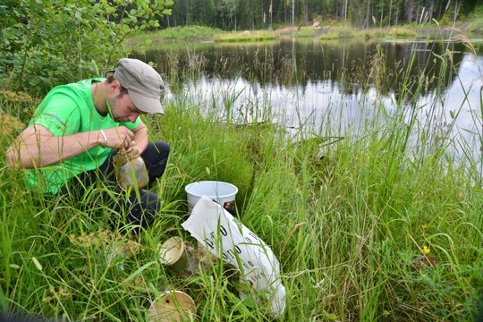 Samuli Karppinen tutki viime viikolla Kiskossa Vuorelan kosteikon selkärangattomien määrää.