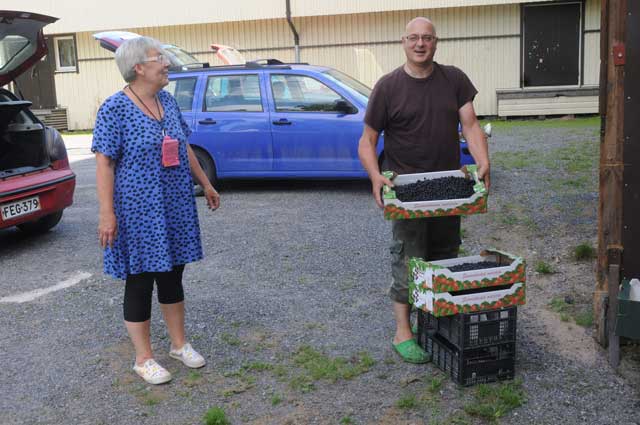 Hannele ja Markku Karvonen Pohjasta myivät mustikkansa Perniöön ja aamulla mennään taas metsään. Tilistä jää usein iso osa Perniön kauppoihin.
