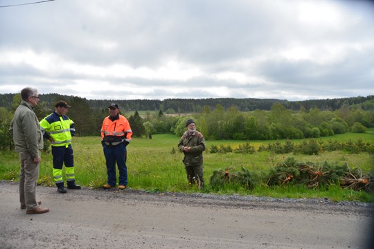 Ketoa kelpaa pian taas esitellä. Kuvassa kaupunginpuutarhuri Tapio Järvinen, maastomittaaja Jouni Tittonen, puistotyöntekijä Juha Salmi ja ketoasiantuntija Pauli Nieminen.
