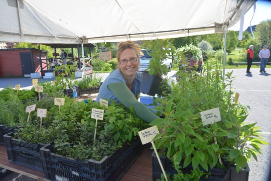 Erilaiset yrtit ovat tulleet osaksi kotimaisten puutarhojen tarjontaa. Metsälammen puutarhan Tiina Juvonen esitteli valikoimaa Perniön torilla viime perjantaina.