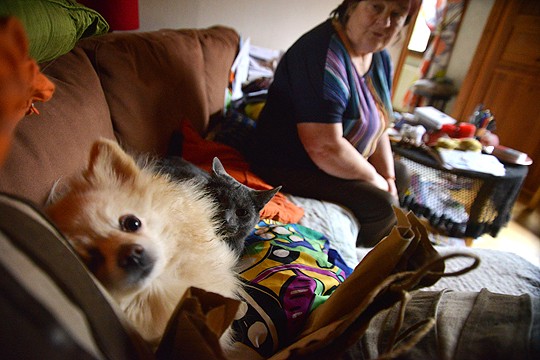 Sinikka Vanhanen on toipunut ja pystyy asumaan kotonaan. Seurana on kolme koiraa ja kissa, sohvalla lötköttävät katraasta Ritva ja Uolevi.