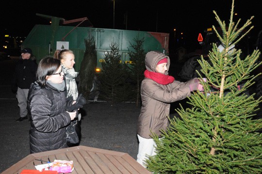 Kaupat tulivat. Tea Lempiäinen kiinnittää osoitelappua Jaana ja Reeta Partasen valitsemaan kuuseen.