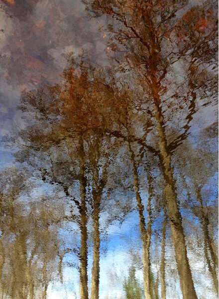 Taru Koskisen voittokuvassa on unenomainen tunnelma.