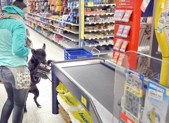 Näin se käy: Zia nostaa pudonneen lompakon marketin kassahihnalle.