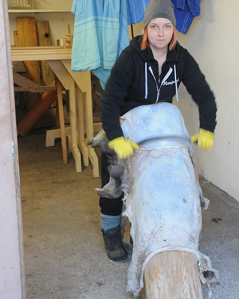 Parkitsemisen jälkeen liiat kalvot poistetaan nahkan nurjalta puolelta