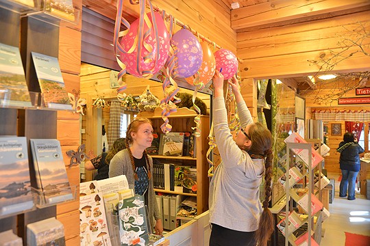 Luontokeskus on valmis kesään. Viime perjantaina asiaan kuuluivat vappuhörhelöt. Inna Salminen seuraa Katja Vuorensyrjän pallonripustustoimia.