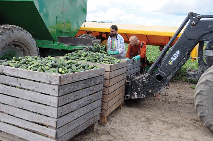 Korjuukoneen kääntö ja tyhjennys käy ripeästi.