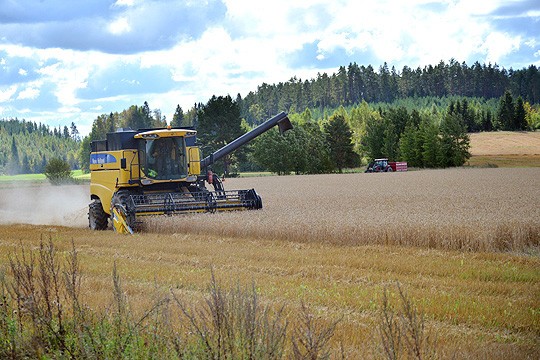 Alkuviikon sää suosi puintitöitä.