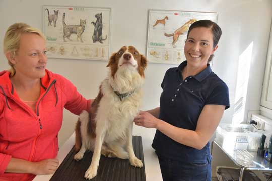 Hirnu ja haukku-eläinklinikan hoitohuone oli perjantaina valmiin näköinen. Reine Rinteen ja Noora Saariston välissä hoitopöydän koeistuu Sälli.