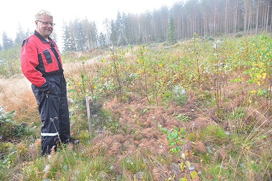 jos kahdeksan vuotta vireillä ollut hanke toteutuu suunnitellusti.