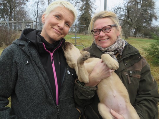 Pikkuisesta Savannasta saattaa tulla hajukoira. Jaana Järvelä (oik.) aikoo hyödyntää Tanja Karpelan järjestämiä aiheeseen liittyviä kursseja.